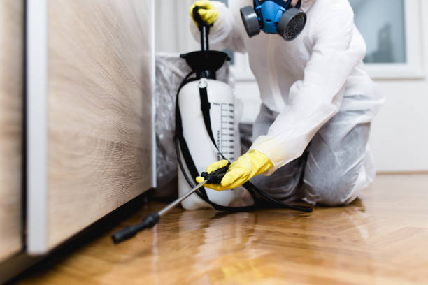 Best Emergency Pest Control  in Columbus Junction, IA