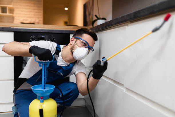 Best Residential Pest Control  in Columbus Junction, IA