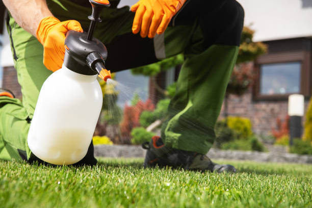 Best Cockroach Control Services  in Columbus Junction, IA
