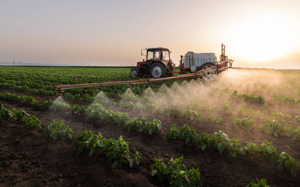Pest Prevention Services in Columbus Junction, IA