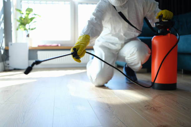Best Ant Control Services  in Columbus Junction, IA