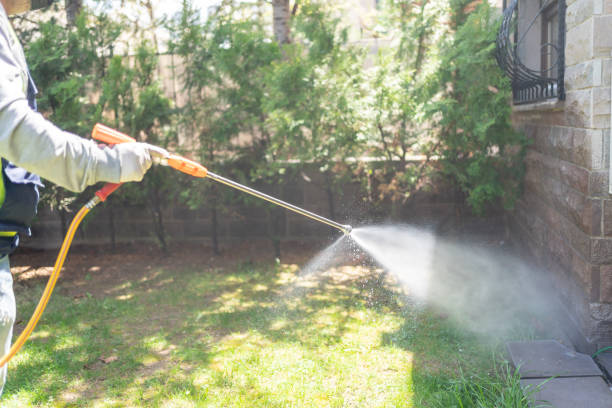 Best Wasp Removal Services  in Columbus Junction, IA