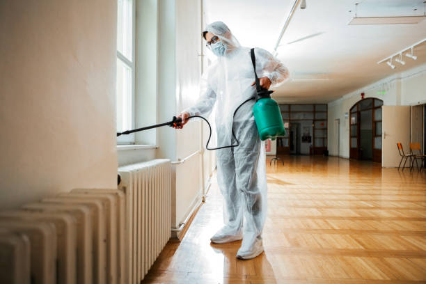 Best Rat Extermination Near Me  in Columbus Junction, IA