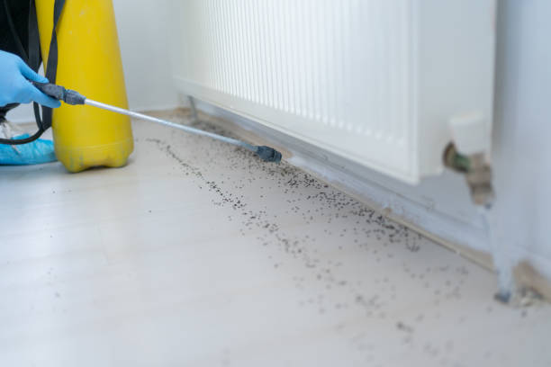 Best Pest Removal Services  in Columbus Junction, IA