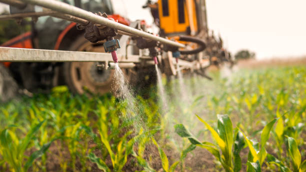Trusted Columbus Junction, IA Pest Control Experts